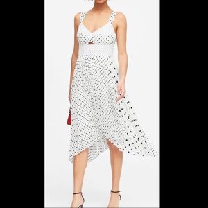NWT Banana Republic Print Sweetheart Pleated Midi Dress Sz 4